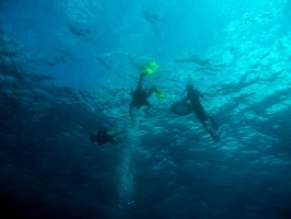 Linda and Larry IMG 3412